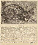 Image ID 823302