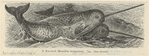 Image ID 823307