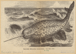 Image ID 823309