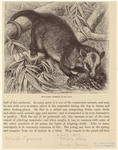 Image ID 823317