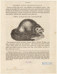 Image ID 823318