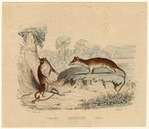 Image ID 823319