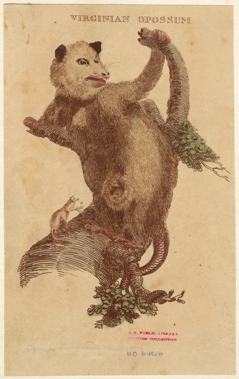Image ID 823322
