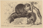 Image ID 823326