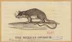 Image ID 823328