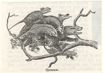 Image ID 823329