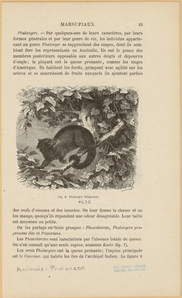 Image ID 823333