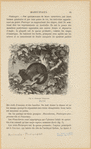Image ID 823333