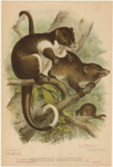 Image ID 823335