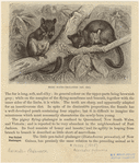 Image ID 823338