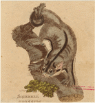 Image ID 823339