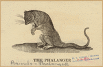Image ID 823341