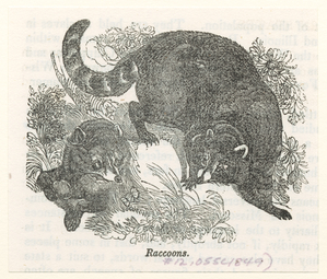 Image ID 823348