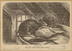 Image ID 823349
