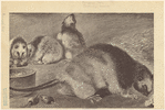 Image ID 823356