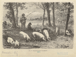 Image ID 823366