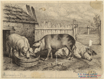 Image ID 823369