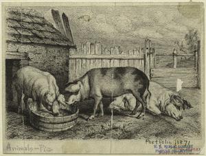 [Pigs at a farm.] Digital ID: 823369. New York Public Library