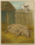 Image ID 823370