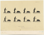 Image ID 823371