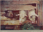 Image ID 823373