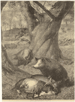Image ID 823374