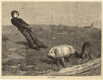 Image ID 823375