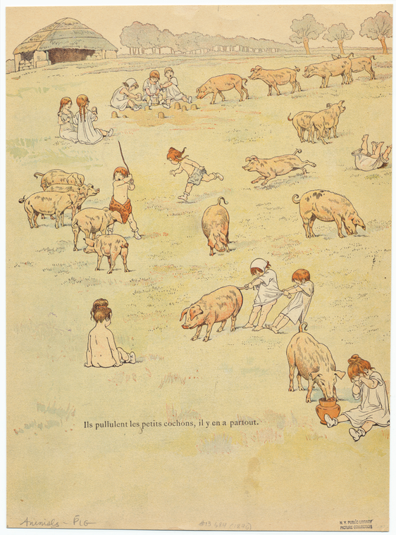 Image ID 823380
