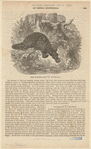 Image ID 823388