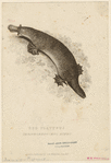 Image ID 823390