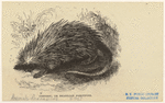 Image ID 823395