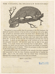 Image ID 823396