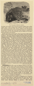 Image ID 823401