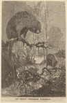 Image ID 823403