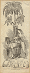 Image ID 823405
