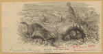 Image ID 823407