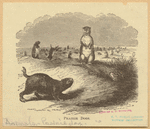Image ID 823409