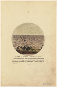 Image ID 823412