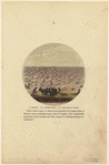 Image ID 823412