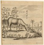 Image ID 823414