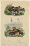Image ID 823416