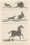 Image ID 823419