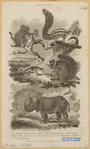 Image ID 823423