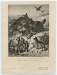 Image ID 823427