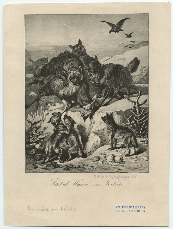 Image ID 823427
