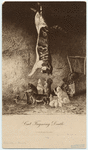 Image ID 823428