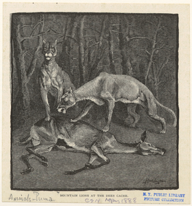 Image ID 823432