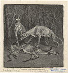 Image ID 823432