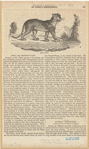 Image ID 823435