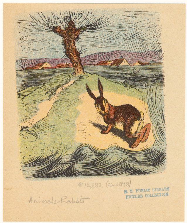Image ID 823440
